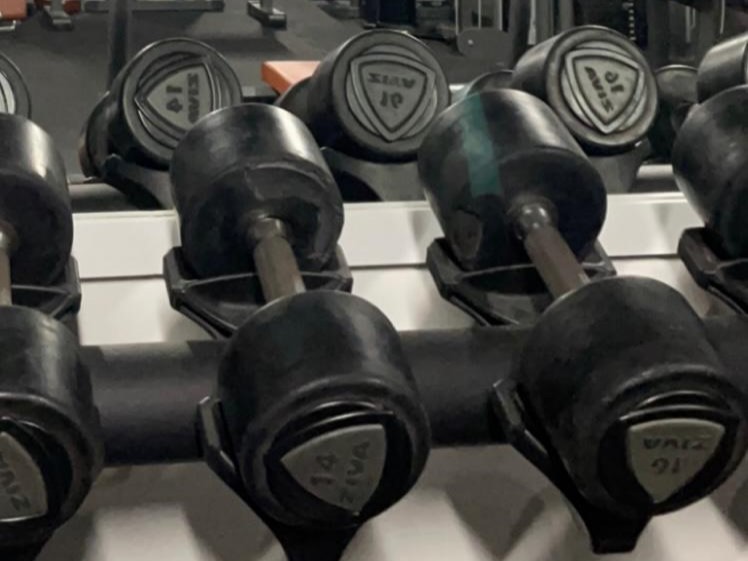 Fitness