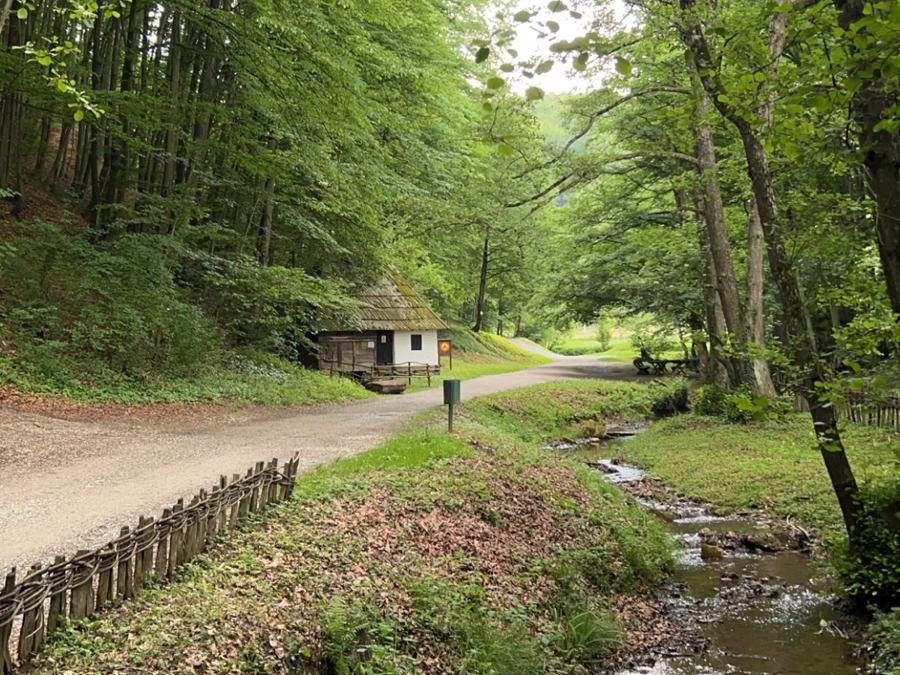 Nature